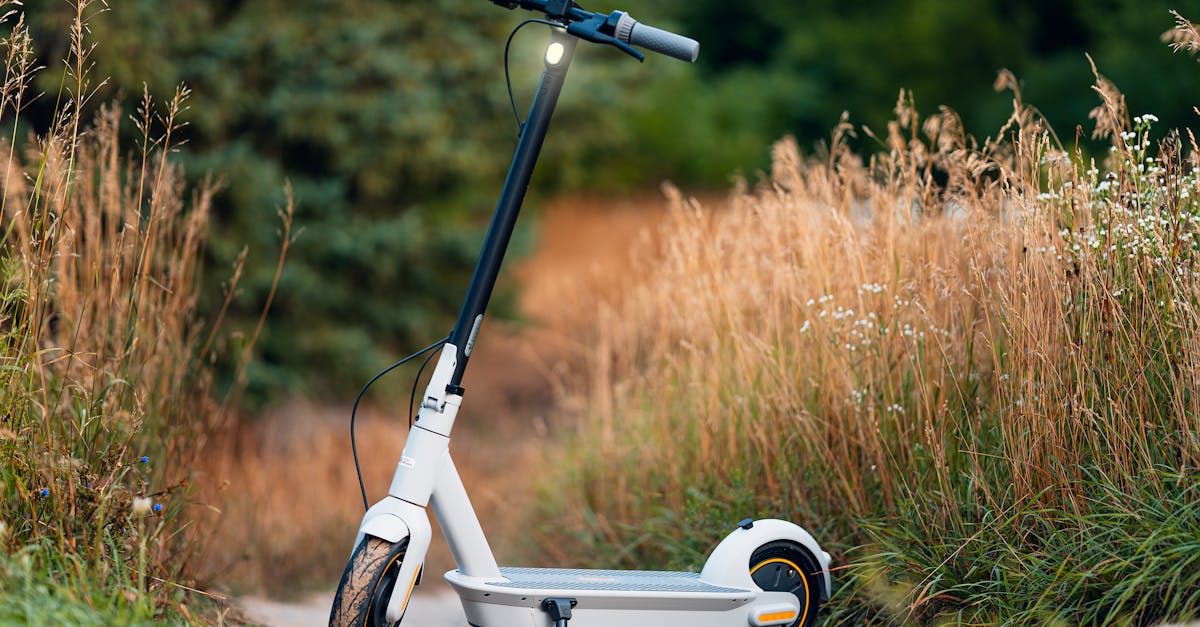 découvrez les voies durables pour un avenir meilleur. explorez des stratégies innovantes et respectueuses de l'environnement qui favorisent la durabilité et le bien-être du planet.