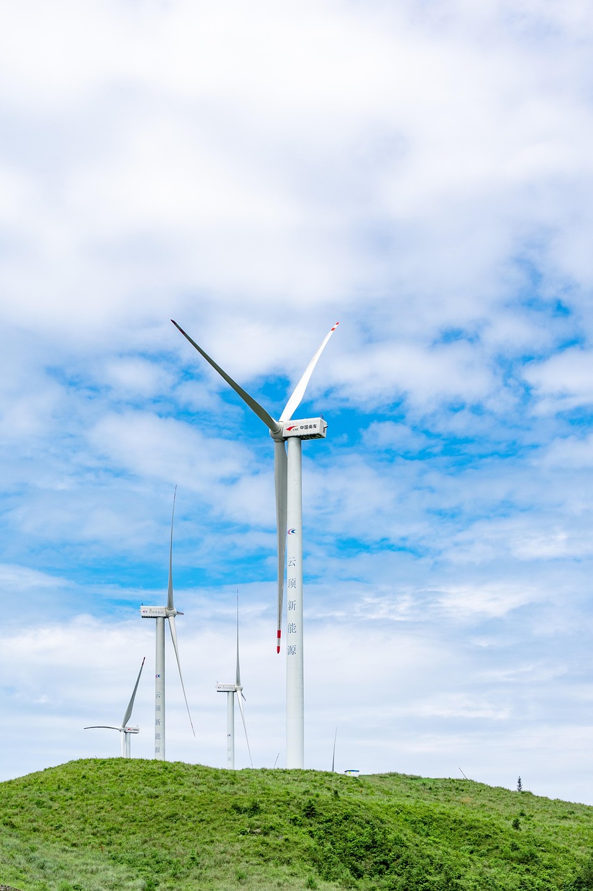 découvrez les principes et les pratiques du développement durable pour préserver les ressources naturelles, favoriser l’équité sociale et assurer un avenir viable pour les générations futures.