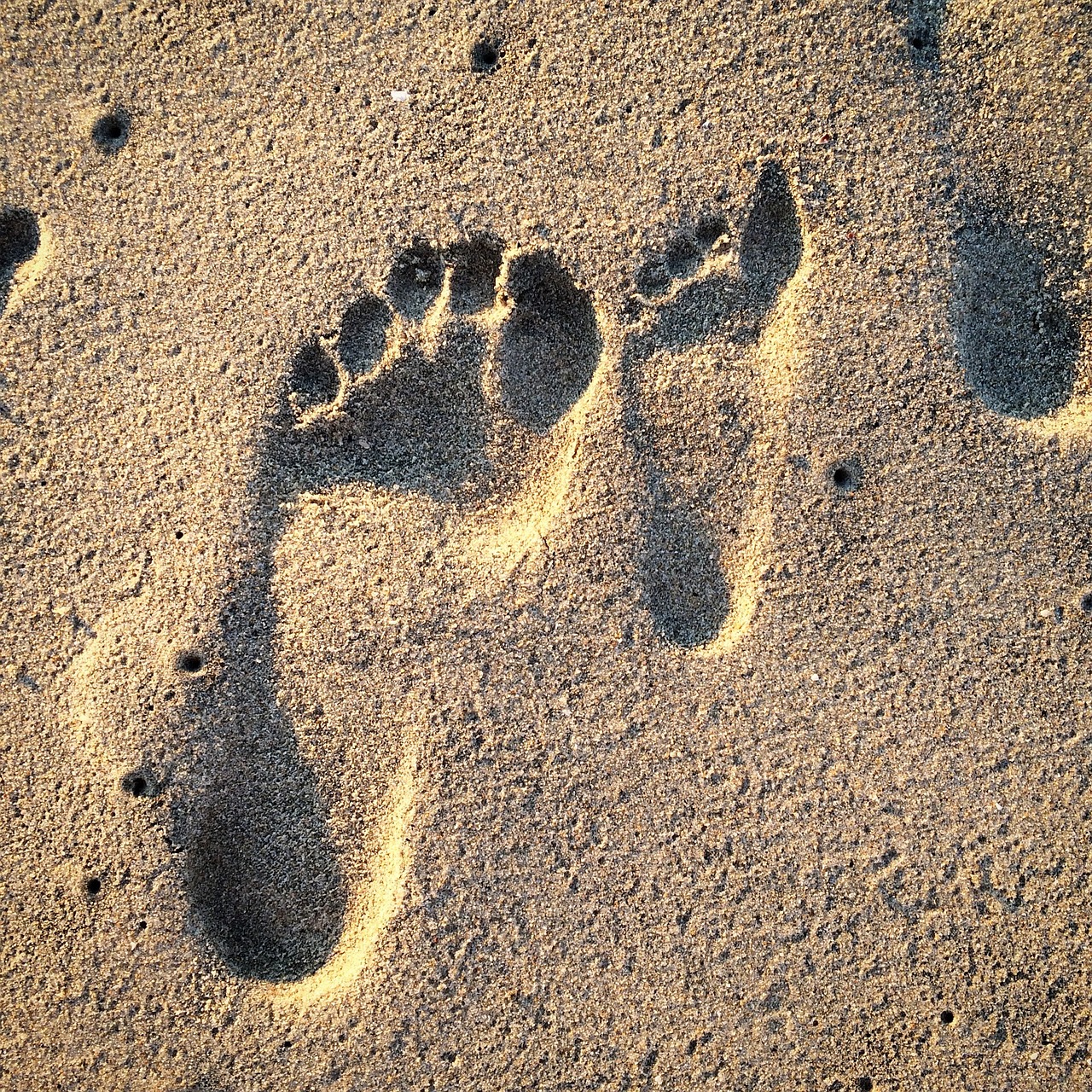 découvrez comment réduire votre empreinte carbone et contribuer à la protection de l'environnement. apprenez des astuces et des stratégies pour minimiser votre impact sur la planète tout en adoptant un mode de vie plus durable.