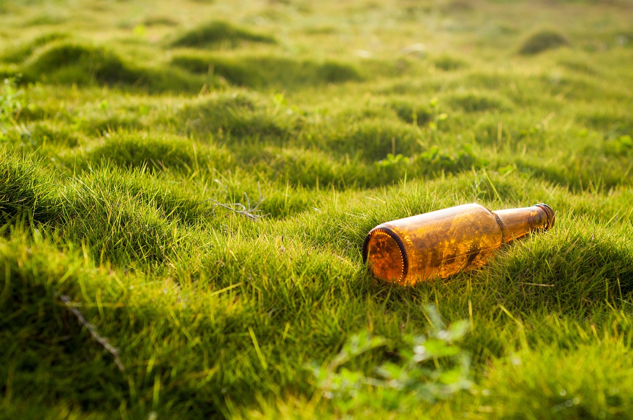 découvrez l'impact environnemental et les enjeux liés à la préservation de notre planète pour un avenir durable.