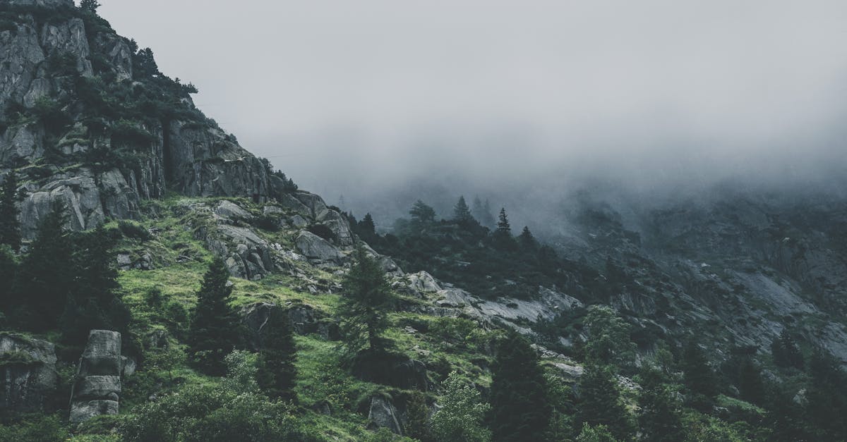 découvrez l'importance de la certification écologique pour les entreprises soucieuses de l'environnement. apprenez comment obtenir une reconnaissance officielle tout en améliorant vos pratiques durables et en renforçant la confiance des consommateurs.