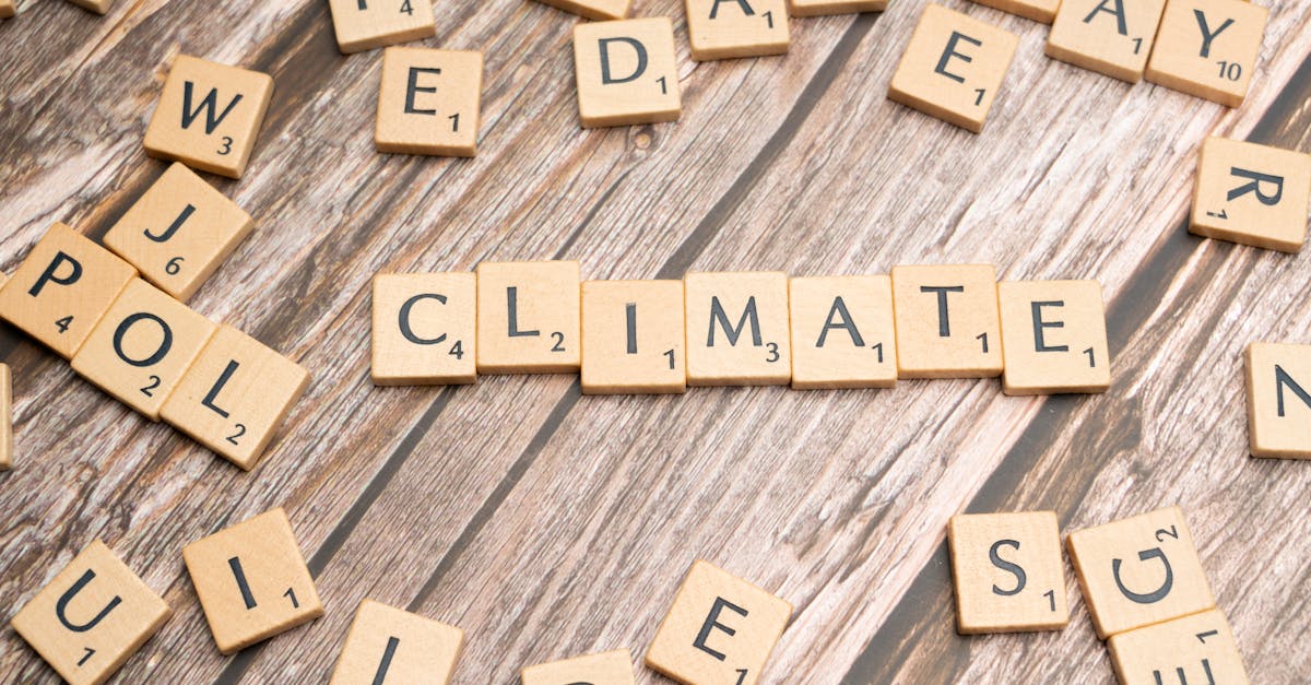 découvrez comment les stratégies d'adaptation au changement climatique peuvent aider les communautés à s'adapter aux nouvelles réalités environnementales, en réduisant les risques et en renforçant la résilience face aux impacts climatiques croissants.