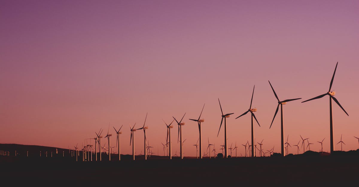 découvrez l'importance de la durabilité dans le monde moderne, ses enjeux environnementaux, économiques et sociaux, ainsi que des solutions innovantes pour un avenir plus respectueux de notre planète.