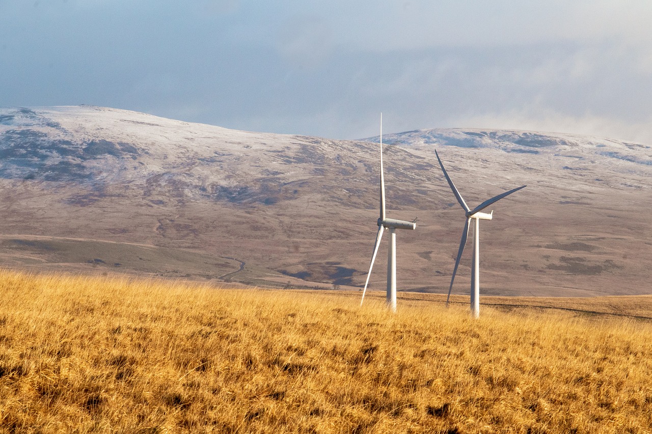 découvrez comment adopter l'énergie renouvelable à la maison pour réduire vos coûts énergétiques et préserver l'environnement avec des solutions durables et innovantes.