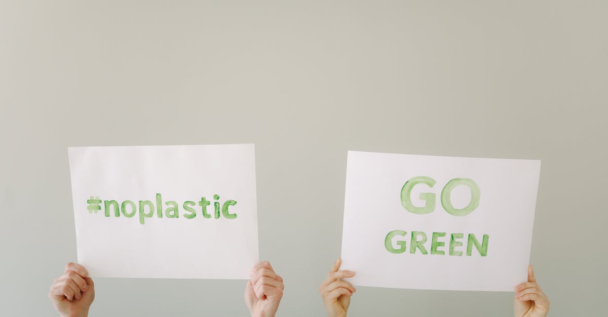 découvrez des pratiques durables qui protègent notre planète tout en améliorant votre qualité de vie. adoptez des solutions écologiques pour un avenir plus vert et responsable.