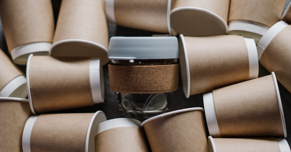 découvrez notre gamme de produits durables, conçus pour réduire votre empreinte écologique tout en offrant qualité et style. engagez-vous pour un avenir plus vert avec des choix responsables qui préservent notre planète.