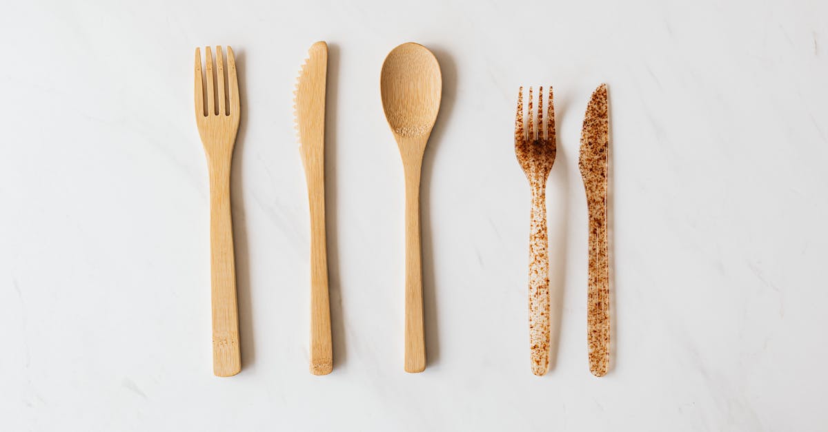 découvrez des stratégies efficaces de réduction des déchets pour un mode de vie durable. apprenez comment minimiser votre impact écologique tout en favorisant le recyclage et la réutilisation. adoptez des pratiques simples et concrètes pour un avenir plus vert.