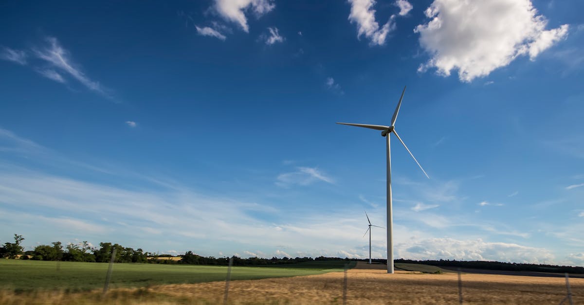 découvrez les principes du développement durable, une approche visant à concilier croissance économique, équité sociale et protection de l'environnement pour un avenir harmonieux et responsable. explorez les stratégies, initiatives et pratiques qui favorisent un monde plus durable pour les générations futures.