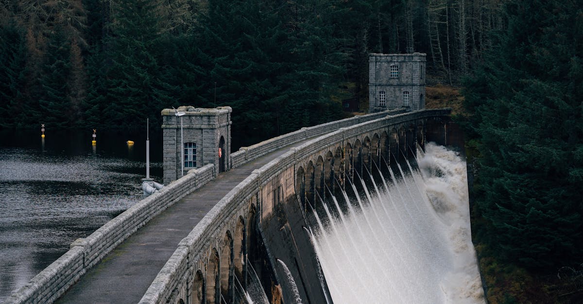 découvrez la richesse des ressources naturelles, leur importance pour notre environnement et l'économie, ainsi que les enjeux liés à leur gestion durable pour les générations futures.