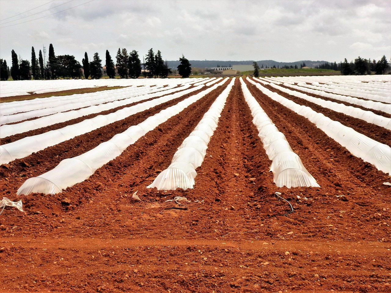 découvrez les dernières innovations et tendances de l'industrie des plastiques, un secteur clé pour de nombreux domaines comme l'emballage, l'automobile et la construction.