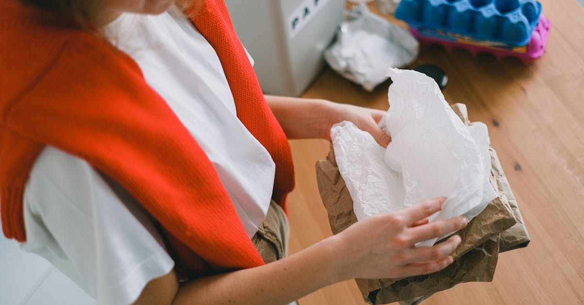 découvrez l'importance de la responsabilité environnementale et comment elle influence nos choix durables pour un avenir meilleur. explorez les actions à entreprendre pour protéger notre planète et promouvoir un changement positif.
