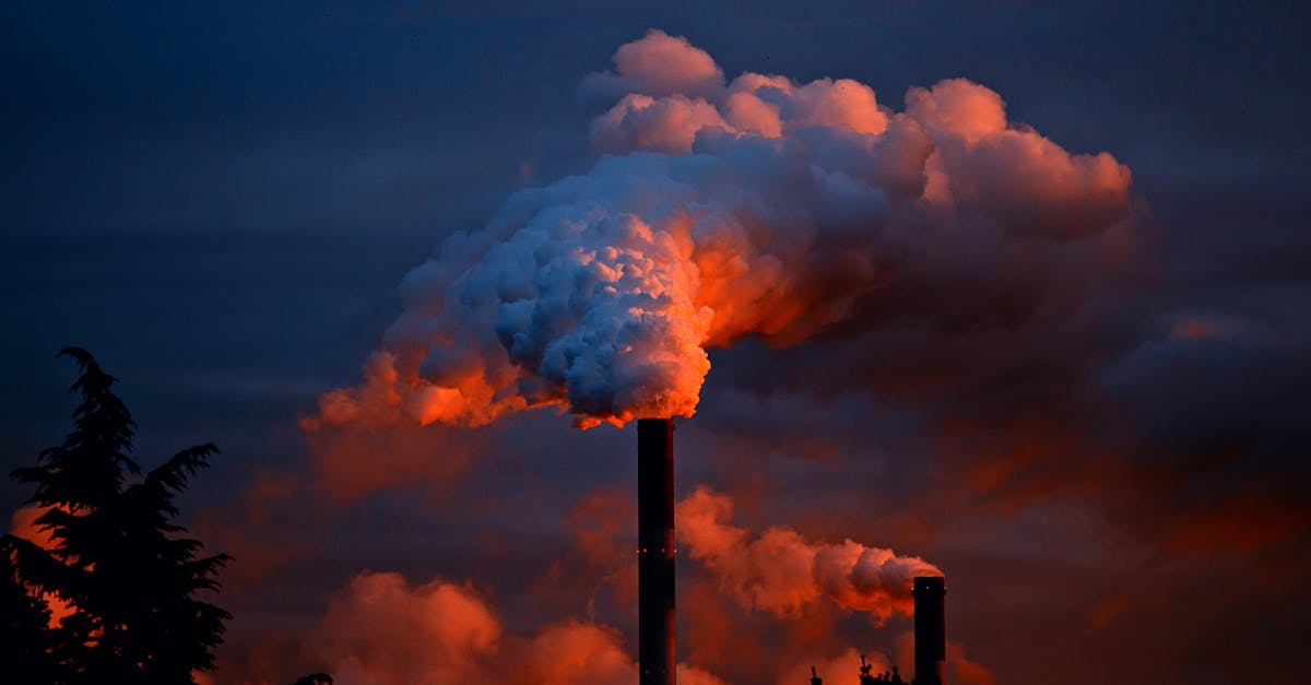 découvrez les enjeux écologiques actuels qui impactent notre planète. informez-vous sur les défis environnementaux, les solutions durables et les actions à entreprendre pour préserver notre écosystème et améliorer notre qualité de vie.