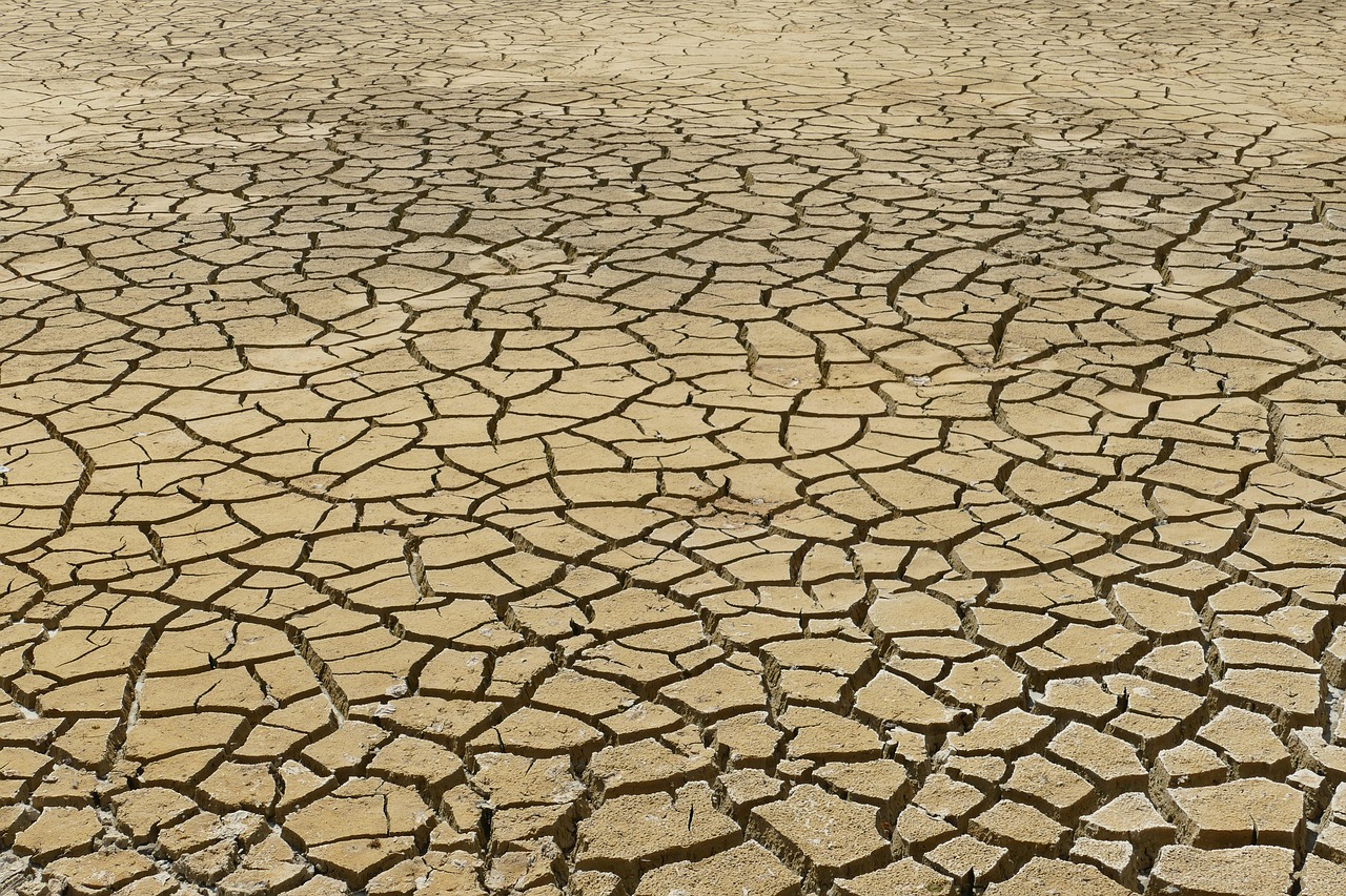 découvrez l'impact du changement climatique sur les sports amateurs et les défis environnementaux auxquels ils font face.