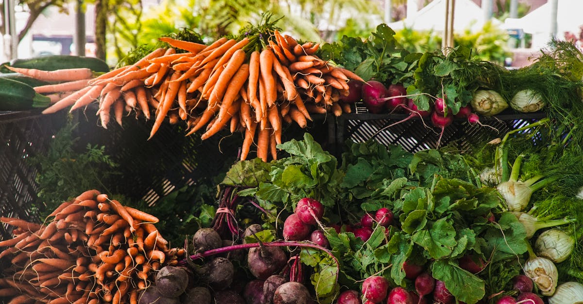 découvrez les pratiques de l'agriculture durable, qui préservent l'environnement tout en garantissant une production alimentaire responsable. apprenez comment adopter des méthodes respectueuses de la nature pour une agriculture qui profite à tous.