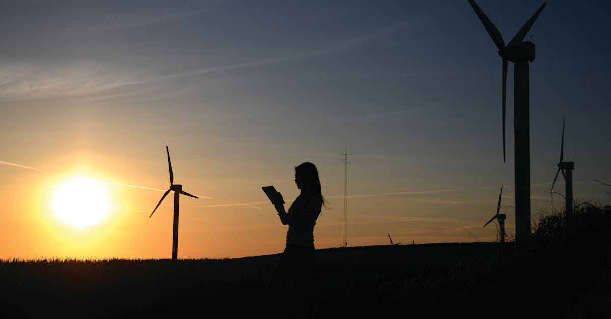 découvrez l'importance de la durabilité et explorez des pratiques écologiques qui préservent notre planète pour les générations futures. apprenez comment adopter un mode de vie durable et réduire votre empreinte carbone tout en favorisant le bien-être économique et social.