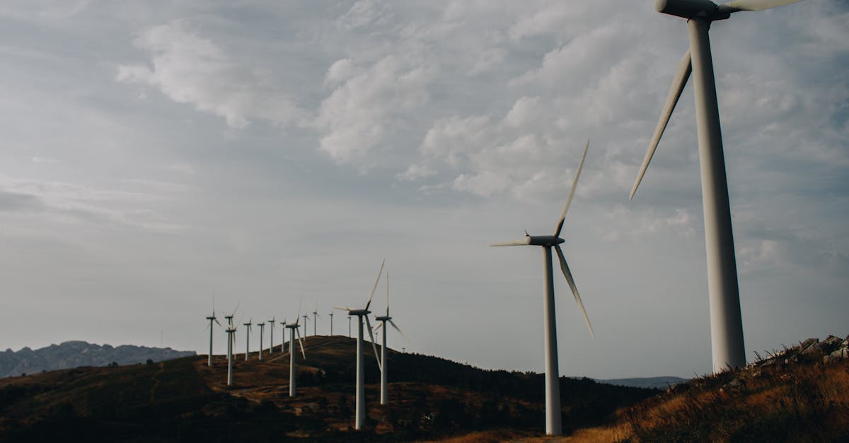 découvrez l'importance des infrastructures vertes pour un avenir durable : solutions innovantes pour gérer les eaux pluviales, améliorer la biodiversité et créer des espaces urbains plus sains et attrayants.