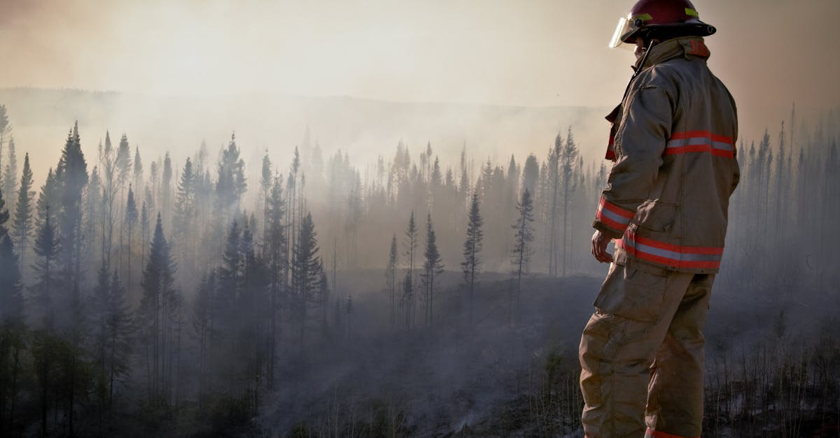 découvrez les enjeux de la déforestation : ses causes, ses conséquences sur l'environnement et la biodiversité, ainsi que les solutions pour préserver nos forêts. engagez-vous pour un avenir durable !