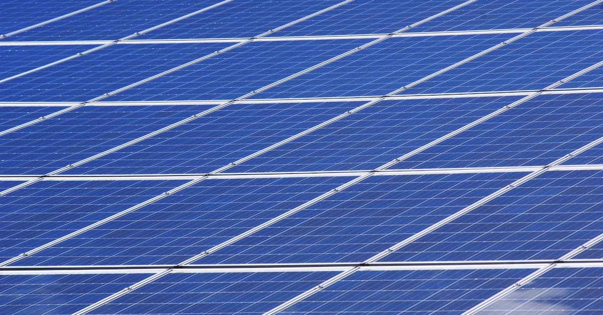 découvrez l'importance de la durabilité dans notre monde moderne. explorez des stratégies, des pratiques et des innovations qui favorisent un avenir respectueux de l'environnement et économiquement viable. engagez-vous vers un mode de vie durable pour préserver notre planète.
