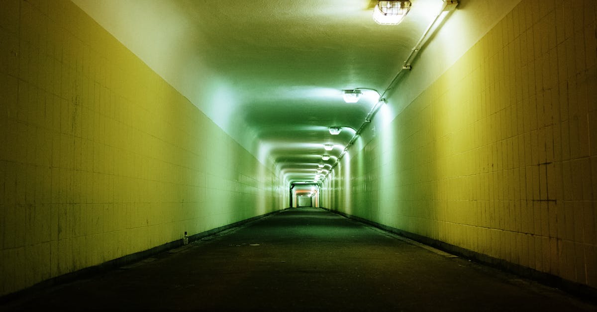 découvrez l'importance des infrastructures vertes pour un développement durable. apprenez comment ces solutions innovantes améliorent les villes, favorisent la biodiversité et réduisent les impacts environnementaux. explorez les avantages des espaces verts intégrés dans l'urbanisme.