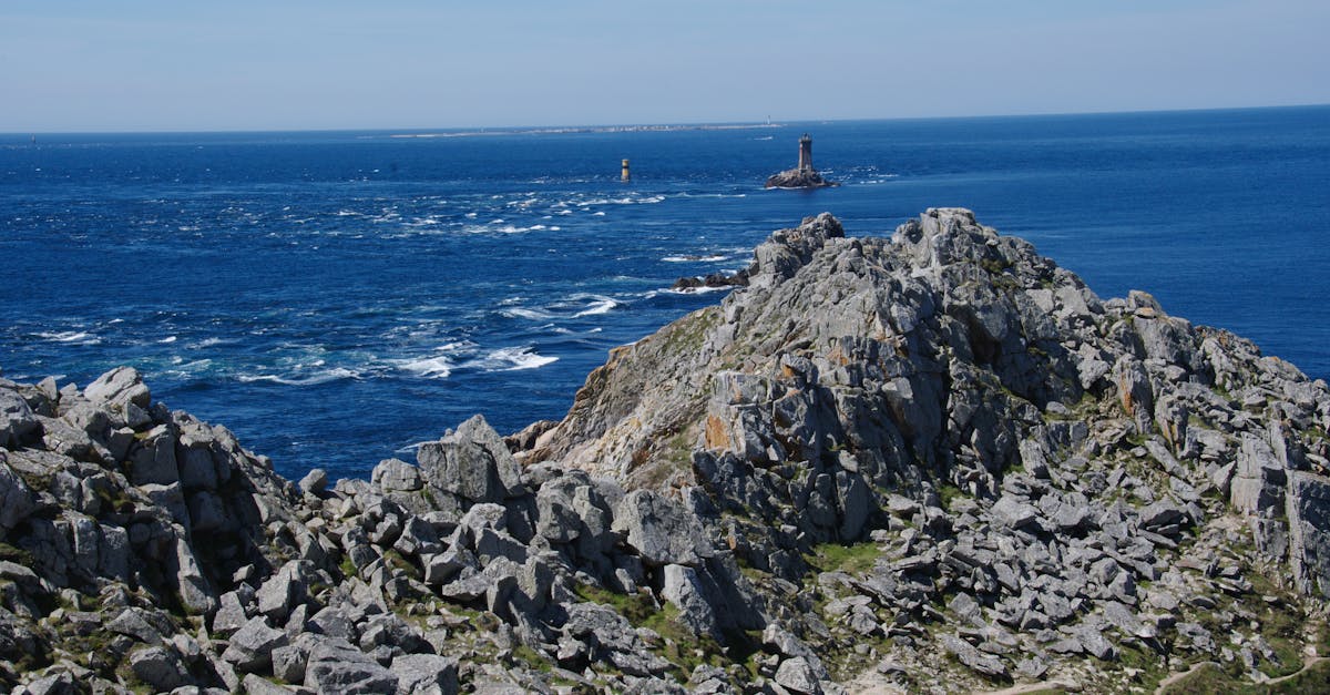 découvrez l'importance de la biodiversité, son rôle crucial dans l'écosystème, et les actions que nous pouvons entreprendre pour la préserver. explorez la richesse des espèces et leur interconnexion pour un avenir durable.