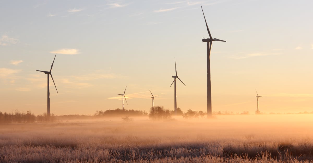 découvrez l'importance de la durabilité dans notre monde moderne. apprenez comment adopter des pratiques durables pour préserver notre planète, réduire notre empreinte carbone et promouvoir un avenir équilibré pour les générations futures.