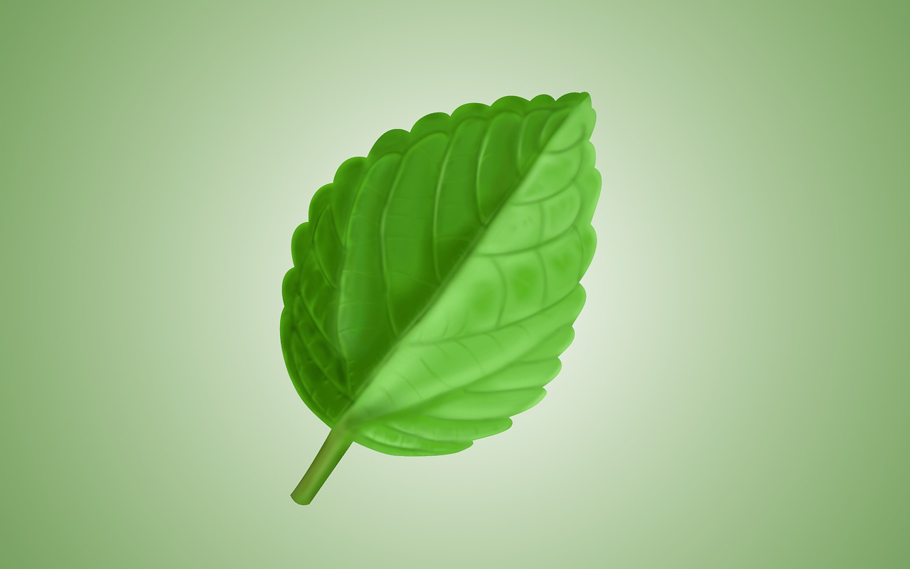 découvrez le luxe éco-responsable alliant élégance et respect de l'environnement pour un style de vie durable et raffiné.