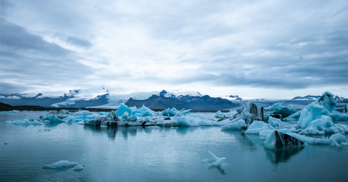 découvrez les enjeux du changement climatique, ses impacts sur notre planète et les actions que chacun peut entreprendre pour lutter contre cette crise mondiale. informez-vous sur les solutions et les initiatives écologiques pour un avenir durable.