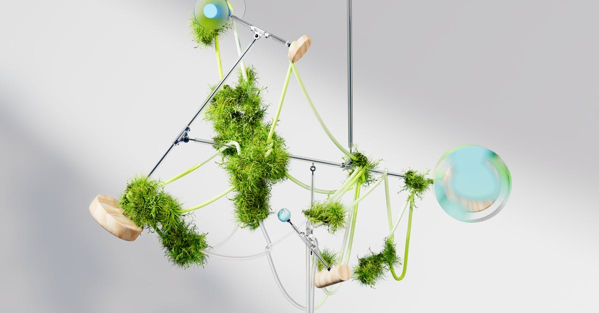 découvrez les dernières tendances en matière d'innovation verte, où durabilité et technologie se rencontrent pour transformer notre avenir. explorez des solutions respectueuses de l'environnement qui contribuent à un monde plus durable et responsable.