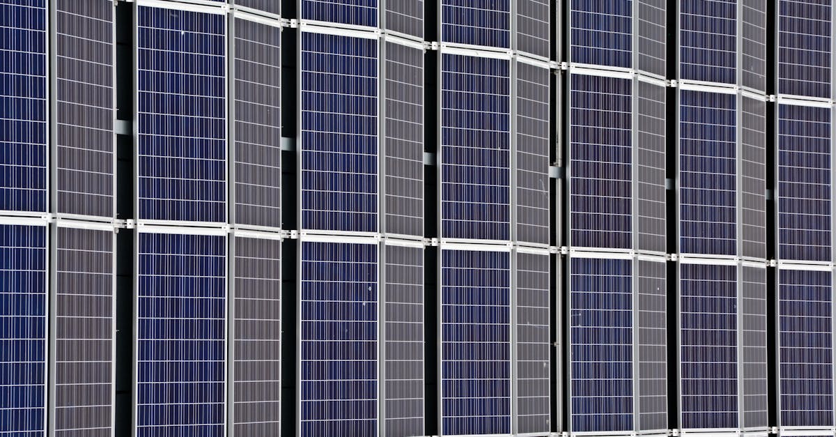 découvrez l'importance de la durabilité dans notre monde moderne. explorez des solutions innovantes pour un avenir plus vert, incluant des pratiques écoresponsables, des technologies renouvelables et des initiatives communautaires. engagez-vous pour un changement positif dès aujourd'hui.