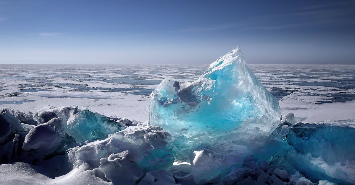 découvrez les enjeux cruciaux du changement climatique, ses impacts sur notre planète et les solutions durables pour lutter contre ce phénomène. informez-vous sur les actions nécessaires pour préserver l'environnement et garantir un avenir durable.