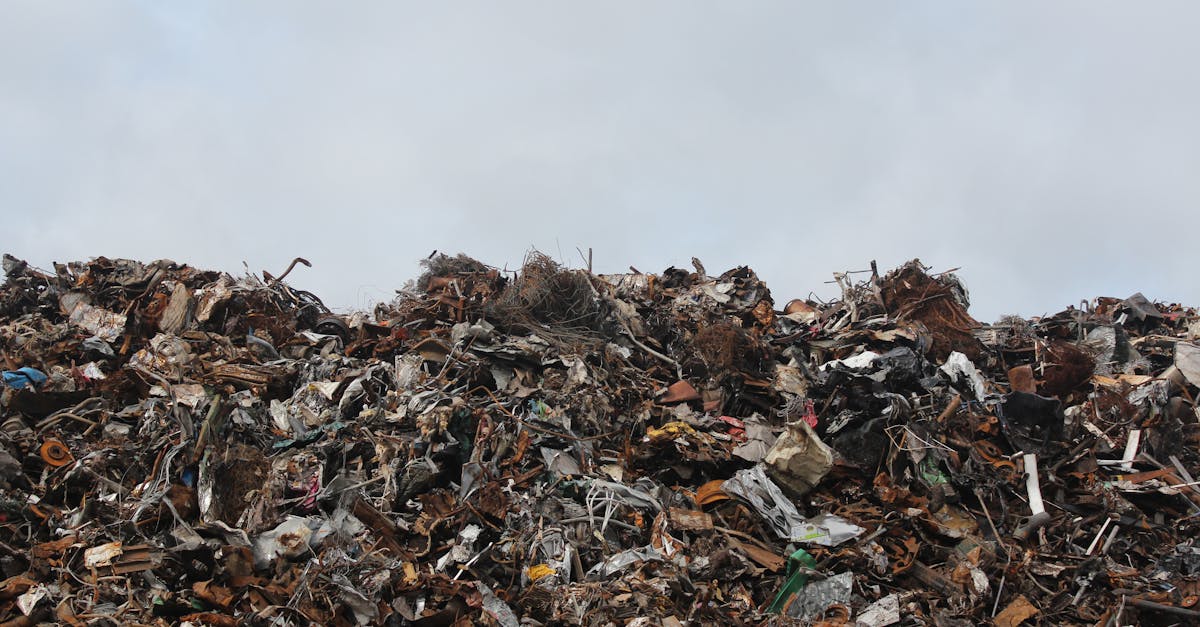 Impacts environnementaux : Comprendre leurs effets sur notre planète
