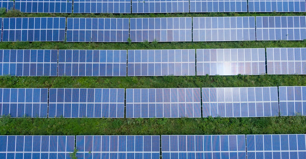 Énergies renouvelables : les solutions pour un avenir durable