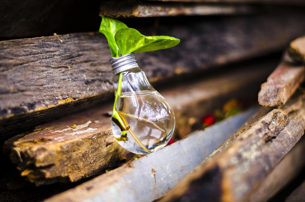 Upcycling : Idées créatives pour transformer vos objets du quotidien