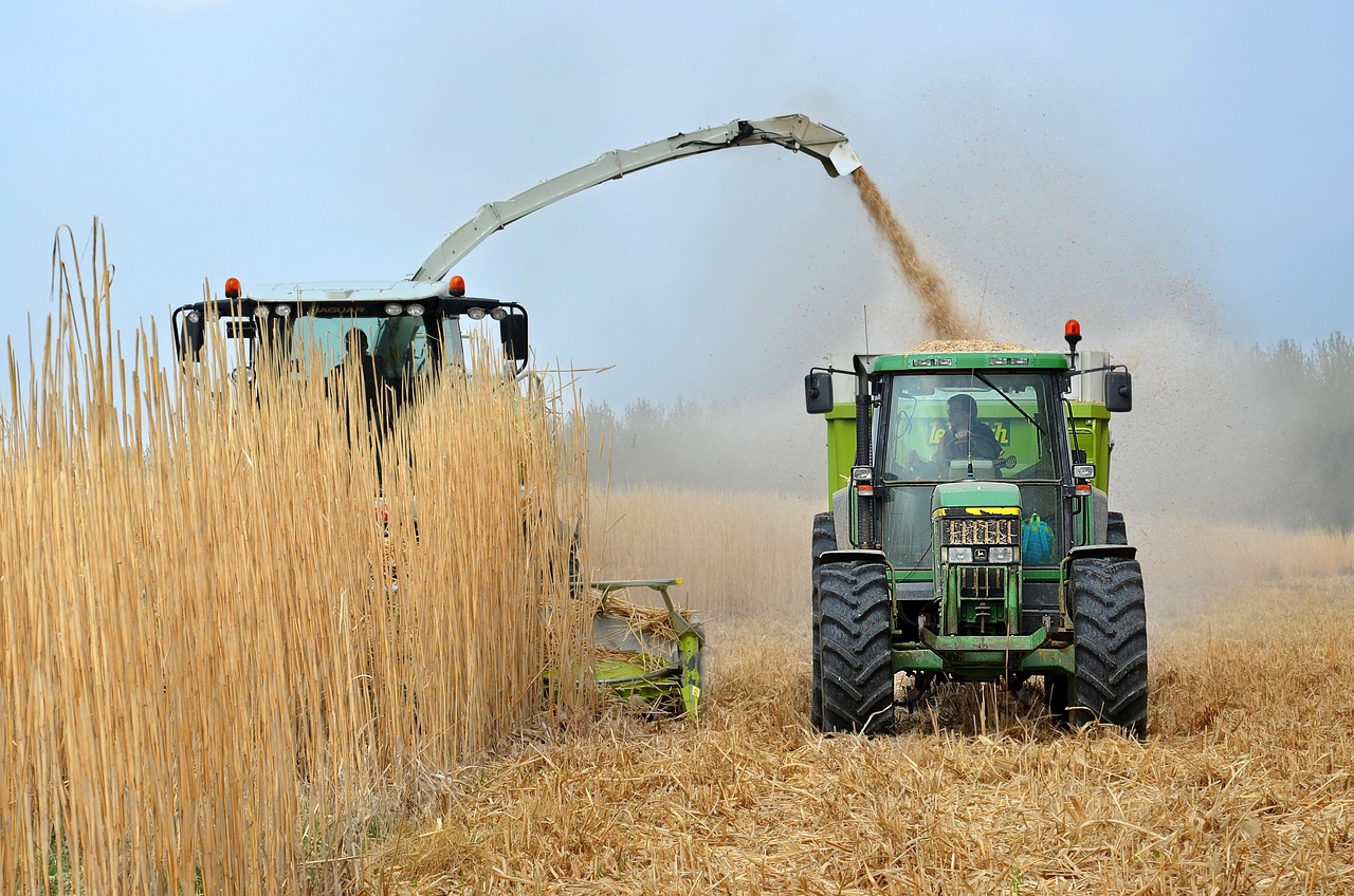T&E remet en question le bilan carbone des biocarburants, un sujet qui émerge à nouveau dans les débats européens