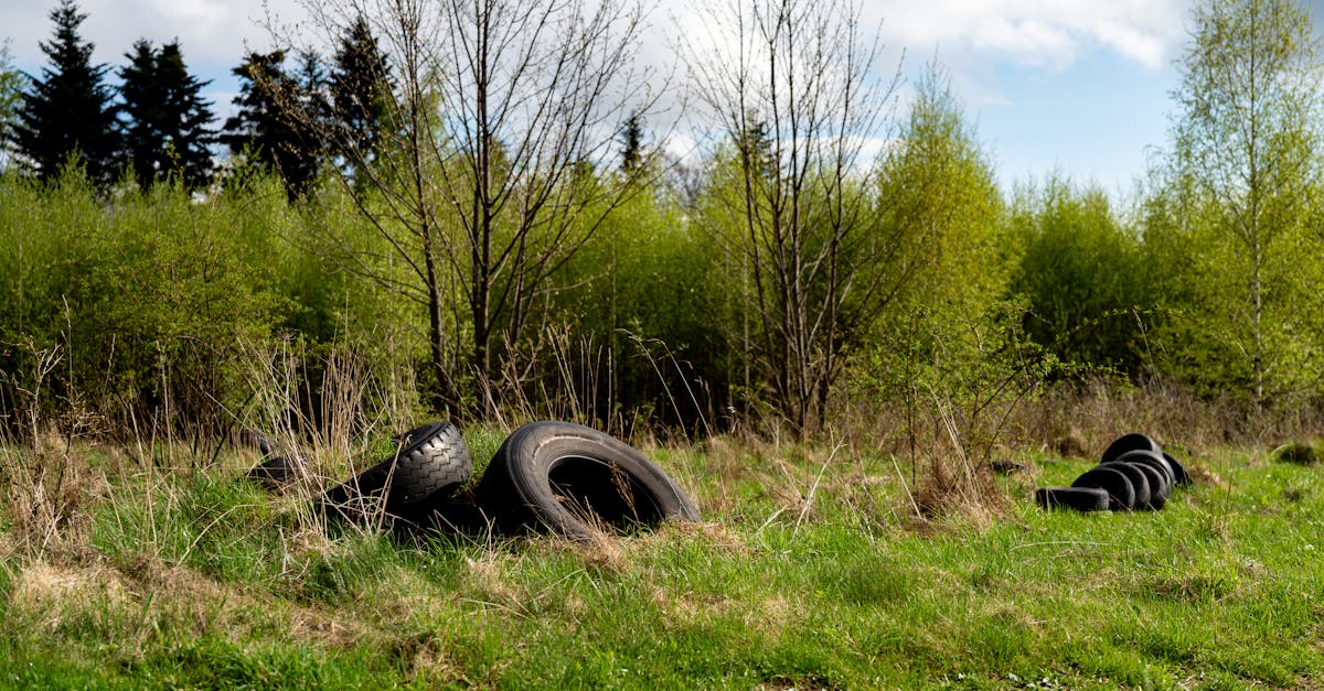 Sensibilisation environnementale : comprendre l’importance de préserver notre planète