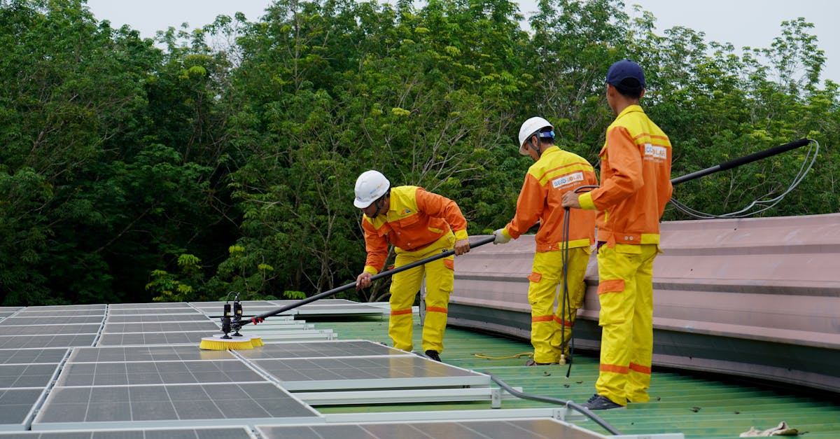 Green jobs : les opportunités professionnelles pour un avenir durable