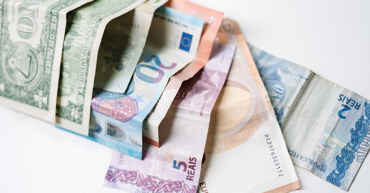 Financement vert : Comment investir durablement pour un avenir écologique