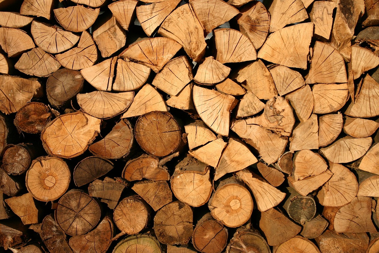 Brésil : un plan ambitieux place la lutte contre la déforestation au centre de la stratégie climatique
