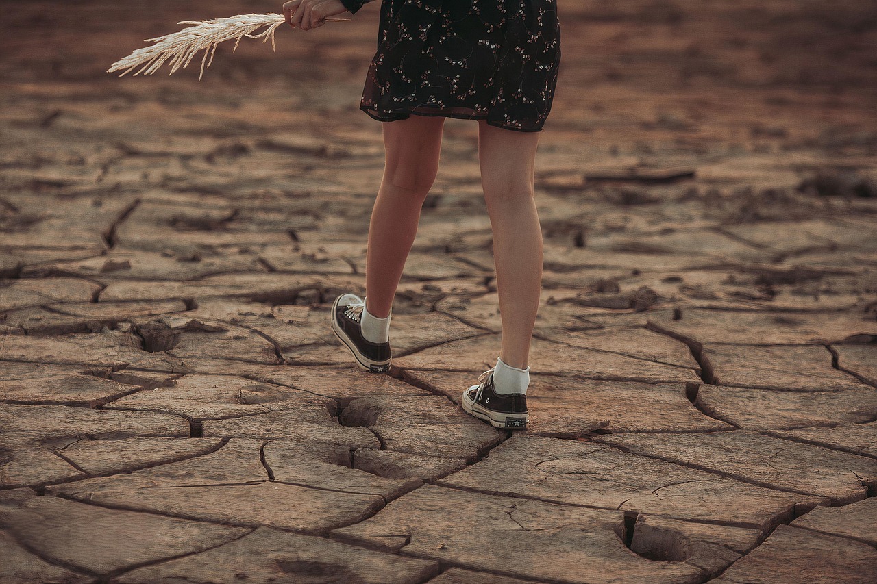 L’impact du changement climatique sur l’agriculture et l’équilibre du bilan carbone