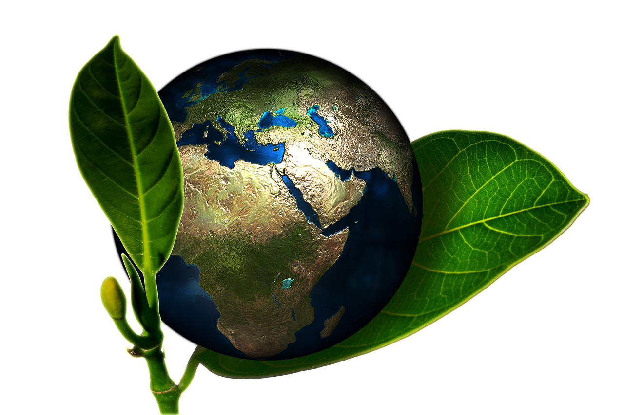 Évaluation environnementale : Stratégies d’audit, conseils et bilan carbone