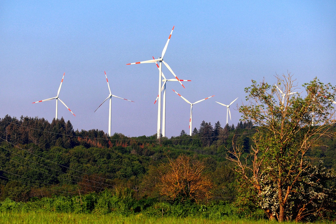 Un musée français face à un défi écologique : 9000 tonnes de CO2 émises annuellement, comment relever le défi de la transition verte ?
