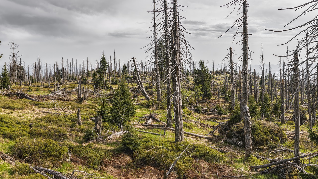 Les leçons à tirer des crises environnementales passées