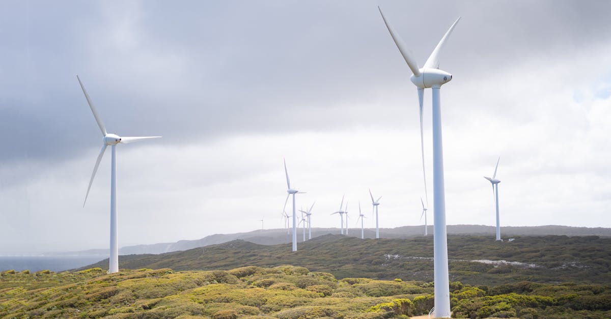 Décarbonisation : enjeux et solutions pour un avenir durable