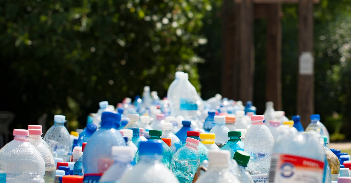 Économie circulaire industrielle : un modèle durable pour les entreprises