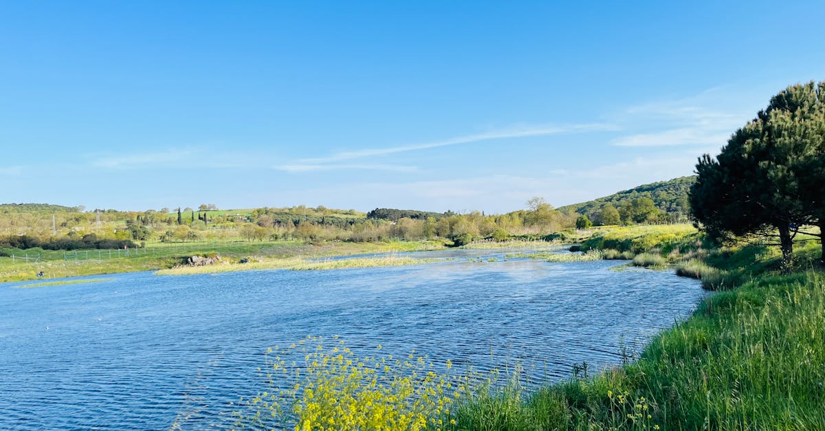 Biodiversité : Comprendre son importance pour l’équilibre des écosystèmes