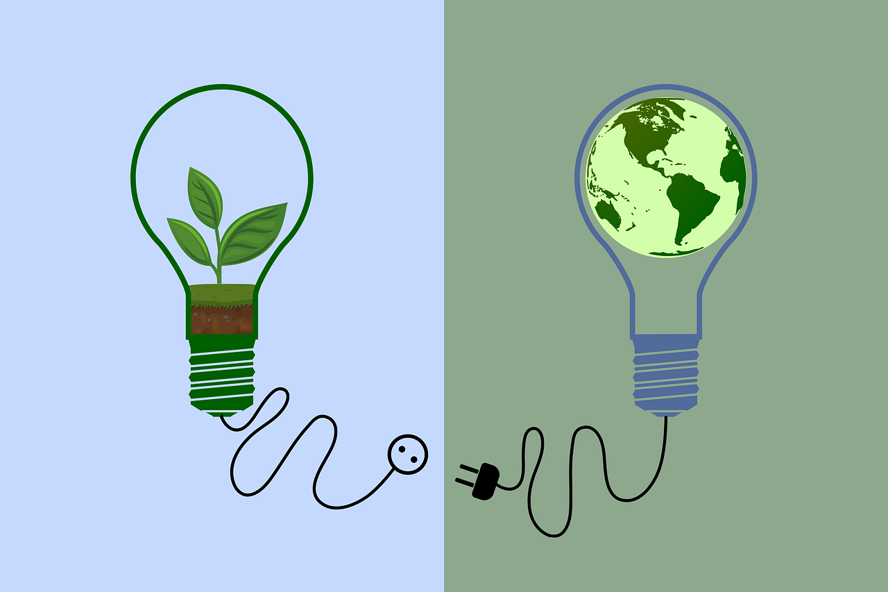 Bilan 2024 : Un regard sur les avancées en matière de développement durable !
