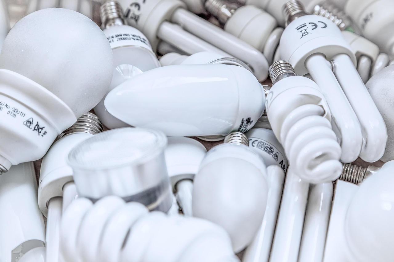 Économie verte : les tendances à suivre pour un avenir durable