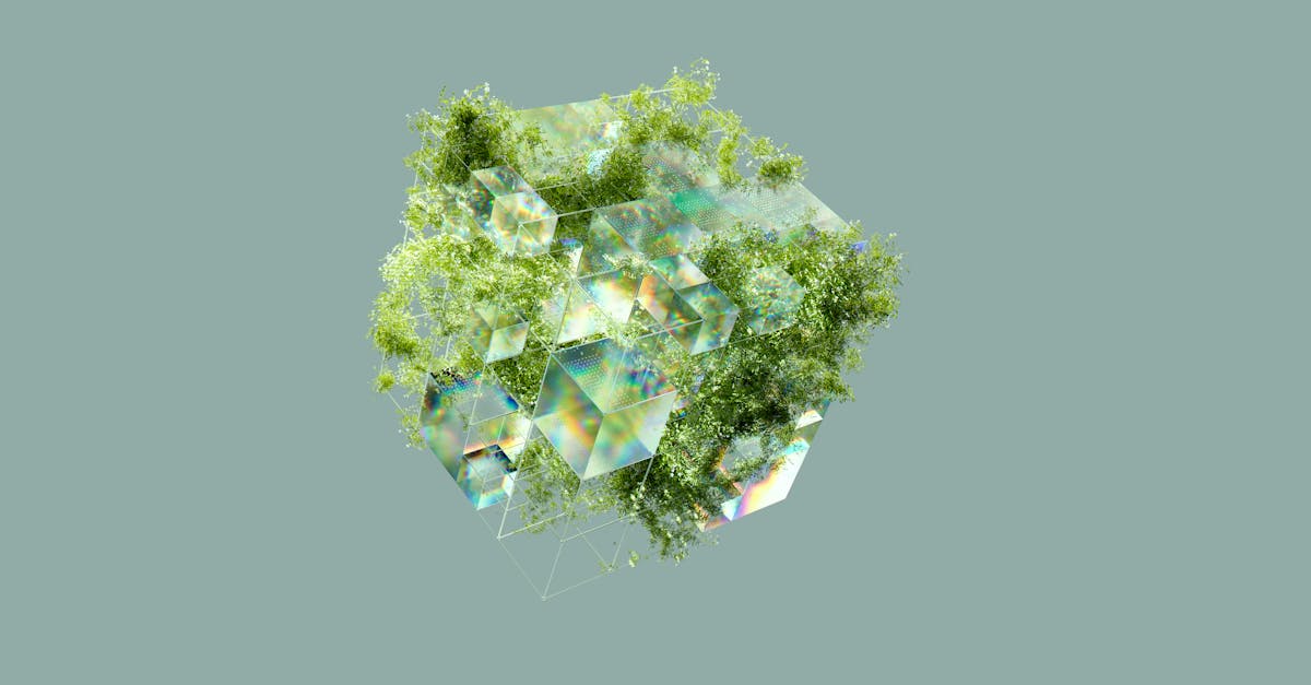 Bio-climatique : Comprendre les principes de conception durable pour un avenir écologique