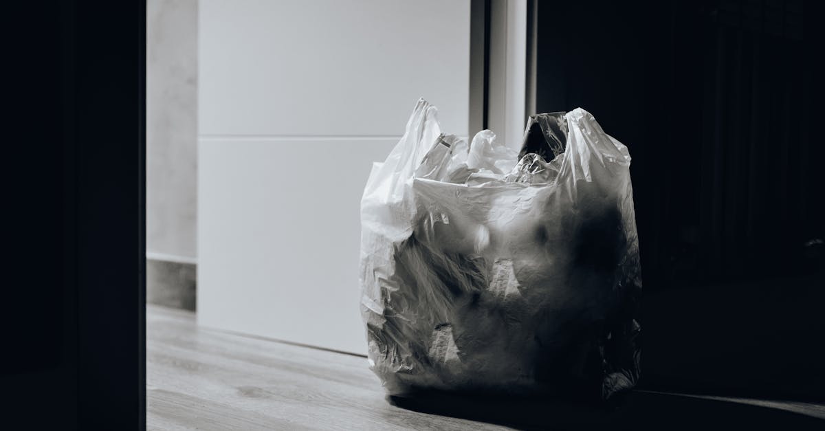 Lutte contre le gaspillage : 10 astuces pour réduire vos déchets au quotidien