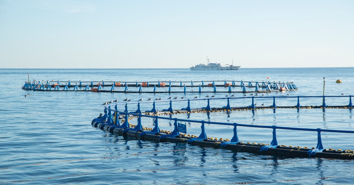 Pilotage environnemental : stratégies efficaces pour un développement durable